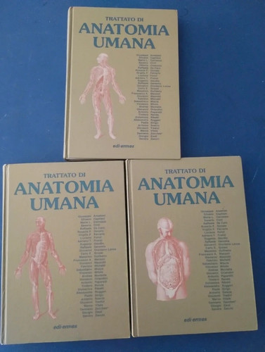 Anastasi volumi anatomia - anastasi,