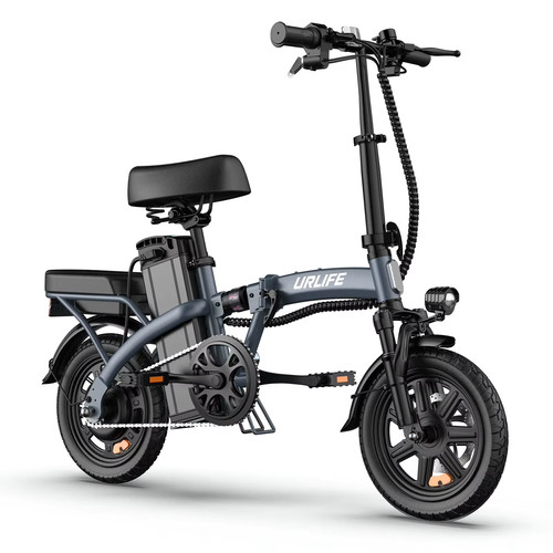 Bicicletta elettrica per
