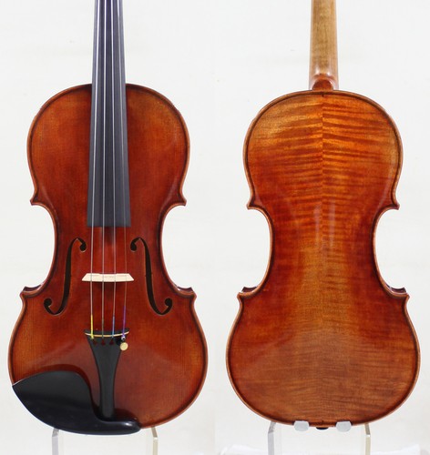 Master violin guarnieri del - master,