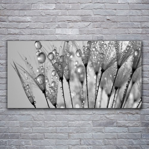 Stampa tela canvas 120x60 - su,