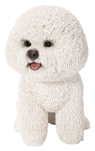 Vivid arts bichon frise - bichon,