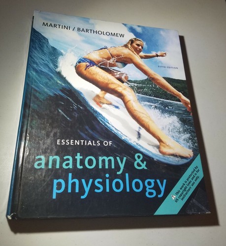 Essentials anatomy - of, &