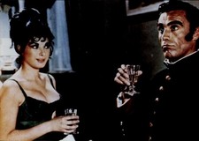 Photo Actor All Kittens Like