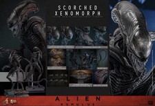 Hot Toys Modellino Xenomorfo