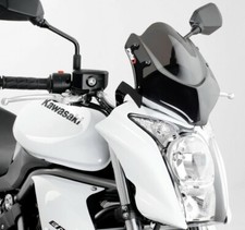Cupolino per Kawasaki ER-6N