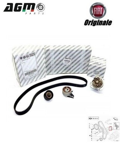 Kit distribuzione pompa acqua - pompa,