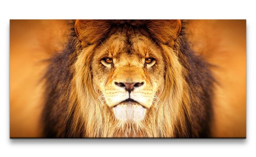 Quadro tela 120x60 - tela, leone