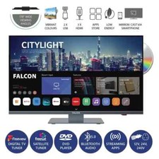 Falcon 19" WebOS SMART Camping