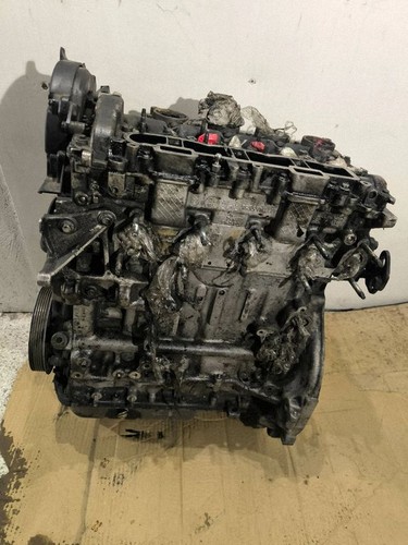 Motore ford focus - ford,