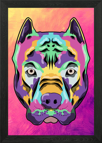 Poster amstaff pitbull splash - poster,