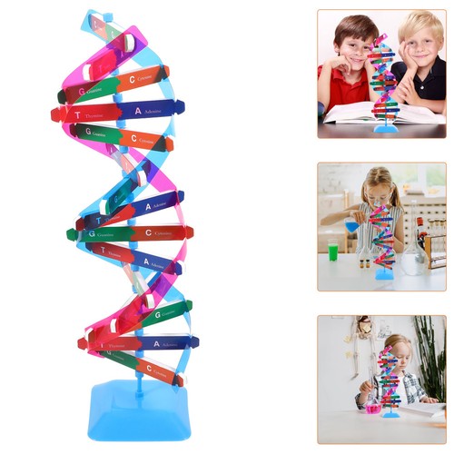 Modello dna per - dna,