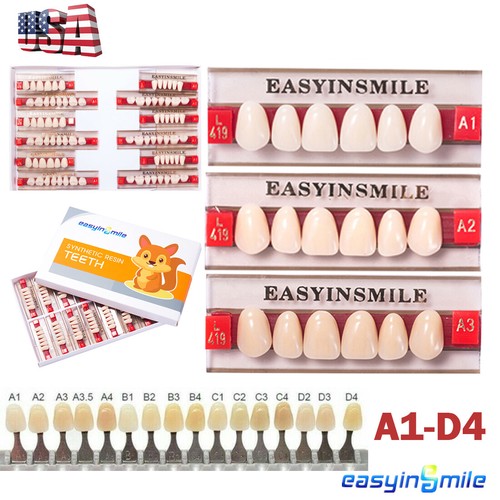 Set denti in resina - denti,