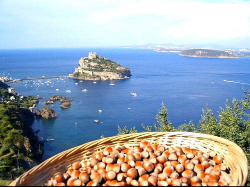 Nocciole ischia bio - ischia,