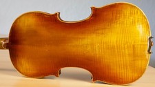 Vecchio viola - vecchio,