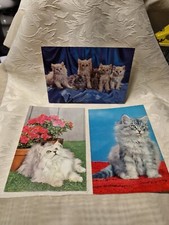 3 Cartoline Gatti AR676 ^