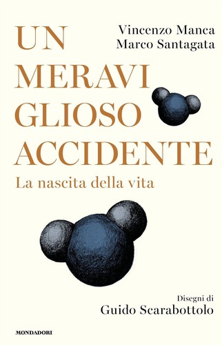 Meraviglioso accidente la - un,