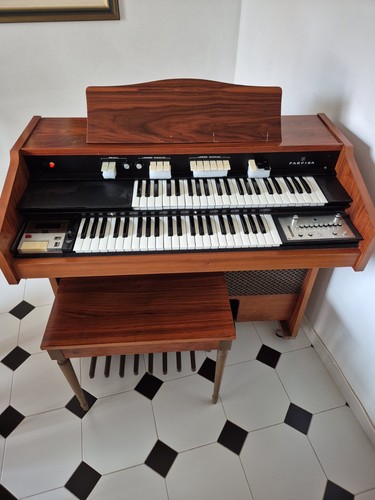 Organo elettronico farfisa - organo,