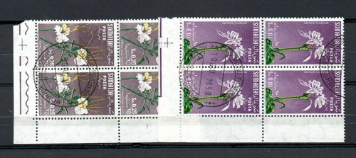 Somalia afis fiori quartine - somalia,