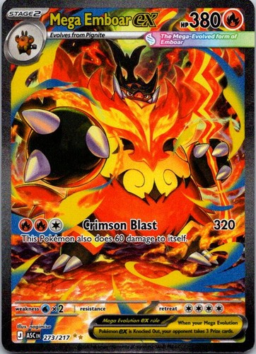 Mega emboar 273 217 - emboar, ex