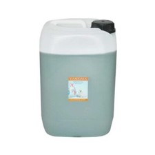 Iv san bernard linea vanesia