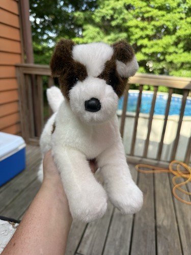 Douglas jack russell - douglas, cane