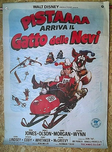 Pistaaaa arriva gatto delle - pistaaaa,