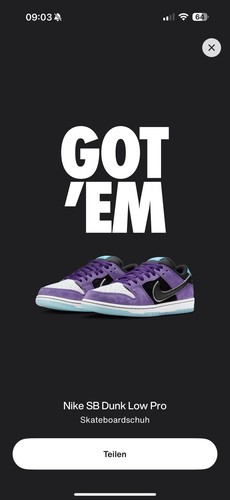 Hayley wilson nike dunk - wilson,