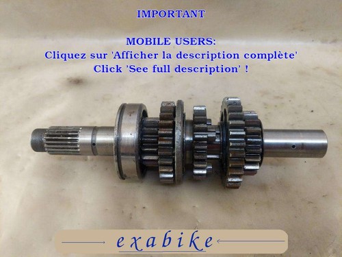 Arbre primaire boite - arbre, de