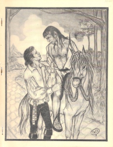 Fanzine adulto slash star - adulto, trek