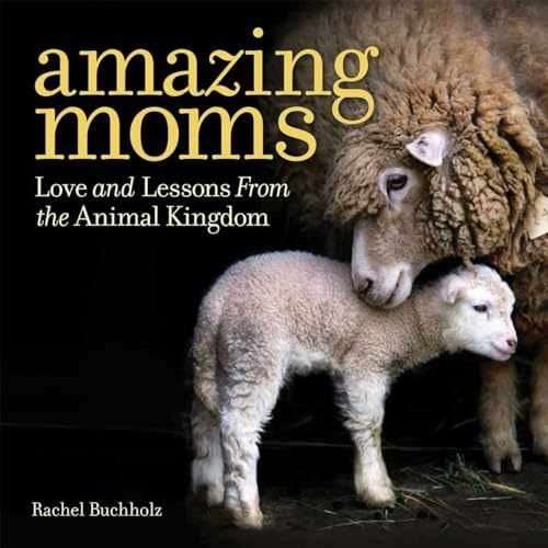 Amazing moms love - love, and