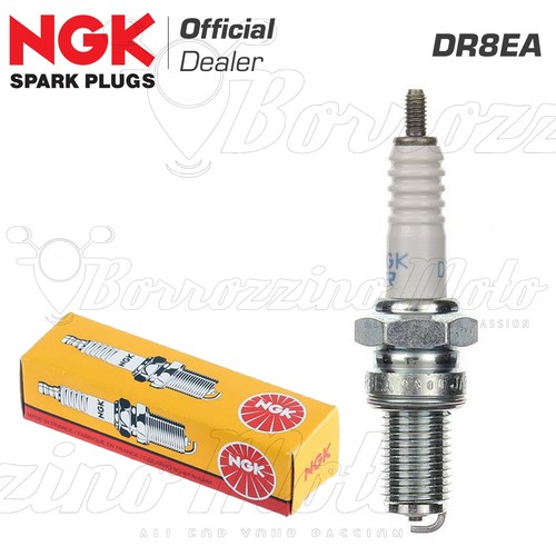 Candela ngk dr8ea - candela,