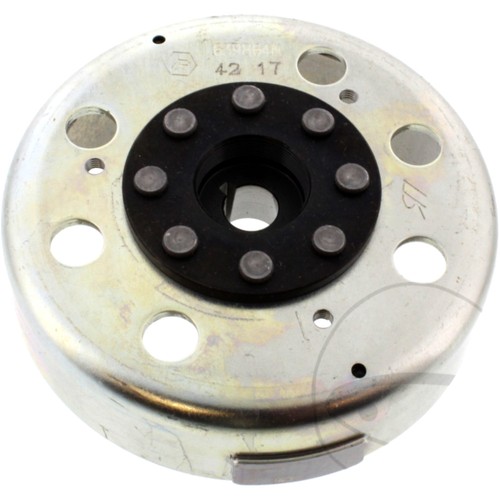 Rotore alternatore per - , motori