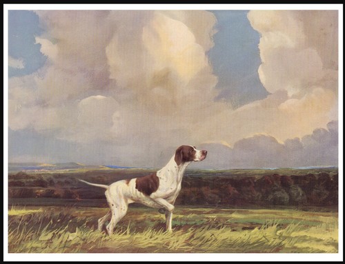 Poster stampa arte cane - arte,