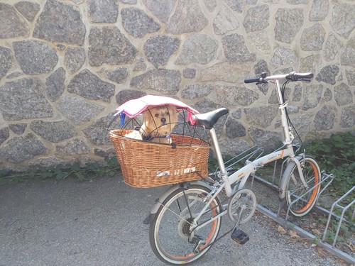 Dahon suv pieghevole - suv, 20"
