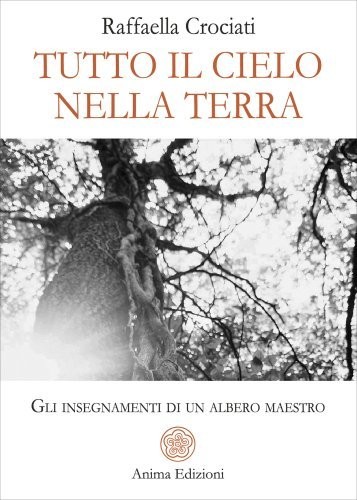 Libro tutto cielo nella - libro,