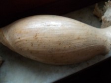 Grande conchiglia MELO  cm 24ANNI 1920-30