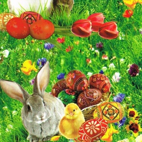 Tela cerata tovaglia - cerata,