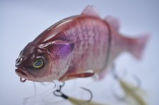 Jackall GANTAREL 160 mm 70 g esca galleggiante Kawashia Albino Gill Bluegill EX