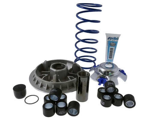 Variatore polini maxi - polini,
