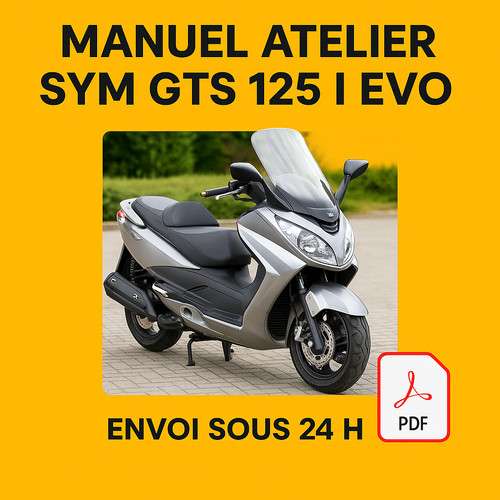 Manuel atelier sym - gts, 1
