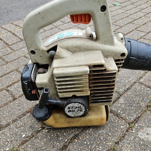 Soffiatore foglie stihl bg75 - foglie,