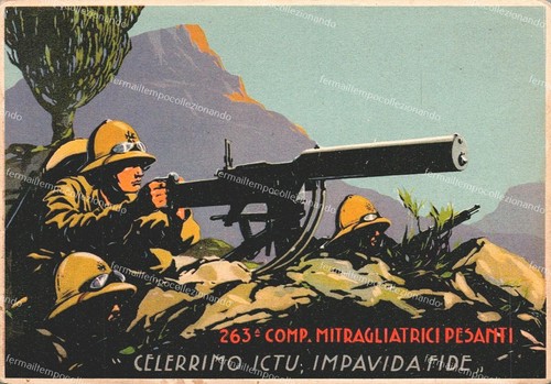 De374 cartolina militare 263 - ,