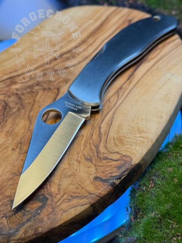Spyderco standard - standard, (economy)