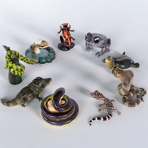 Scatole cieche rare - , figure