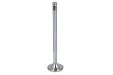 Exhaust valve right (right)