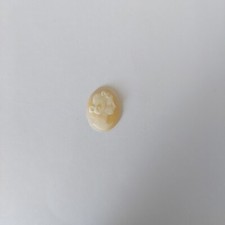 Cammei Camei Cameo Conchiglia