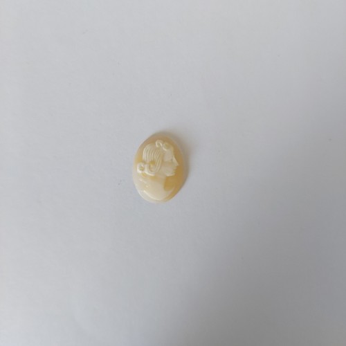 Cammei camei cameo - camei,