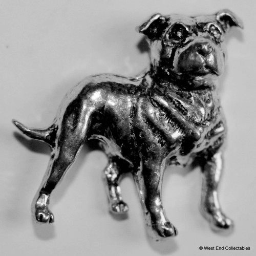 Staffordshire bull terrier - bull,