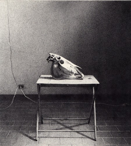Gianfranco ferroni cranio - gianfranco, di