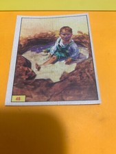 FIGURINA N. 48 ANIMALI